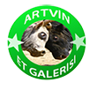 Artvin Et Galerisi Web Tasarım